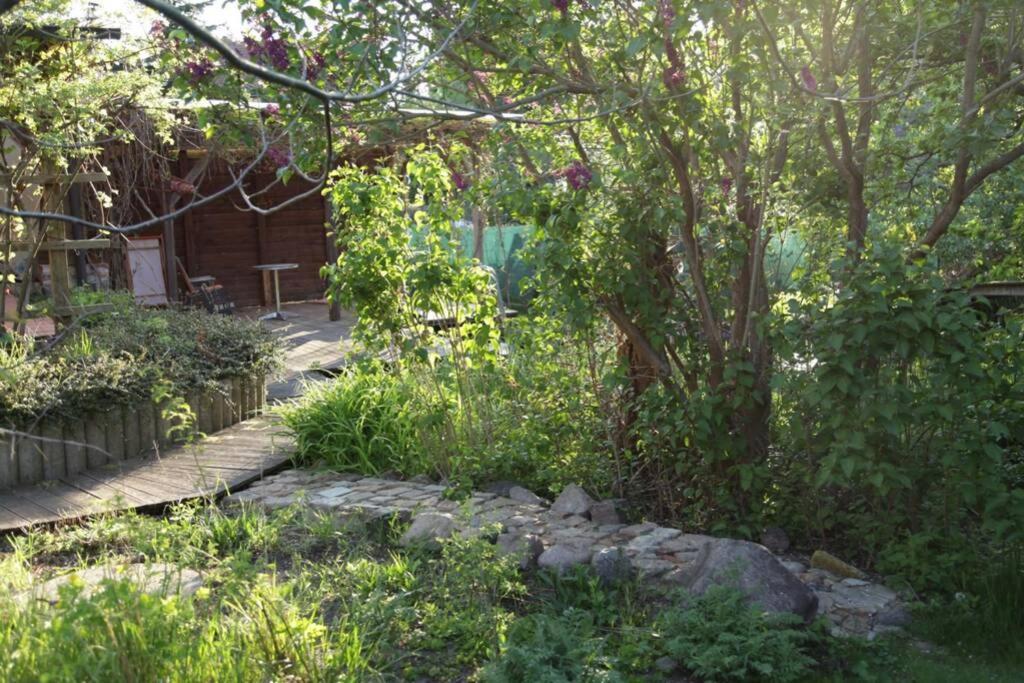 Ferienwohnung In Peetzig Am See Angermunde Bagian luar foto