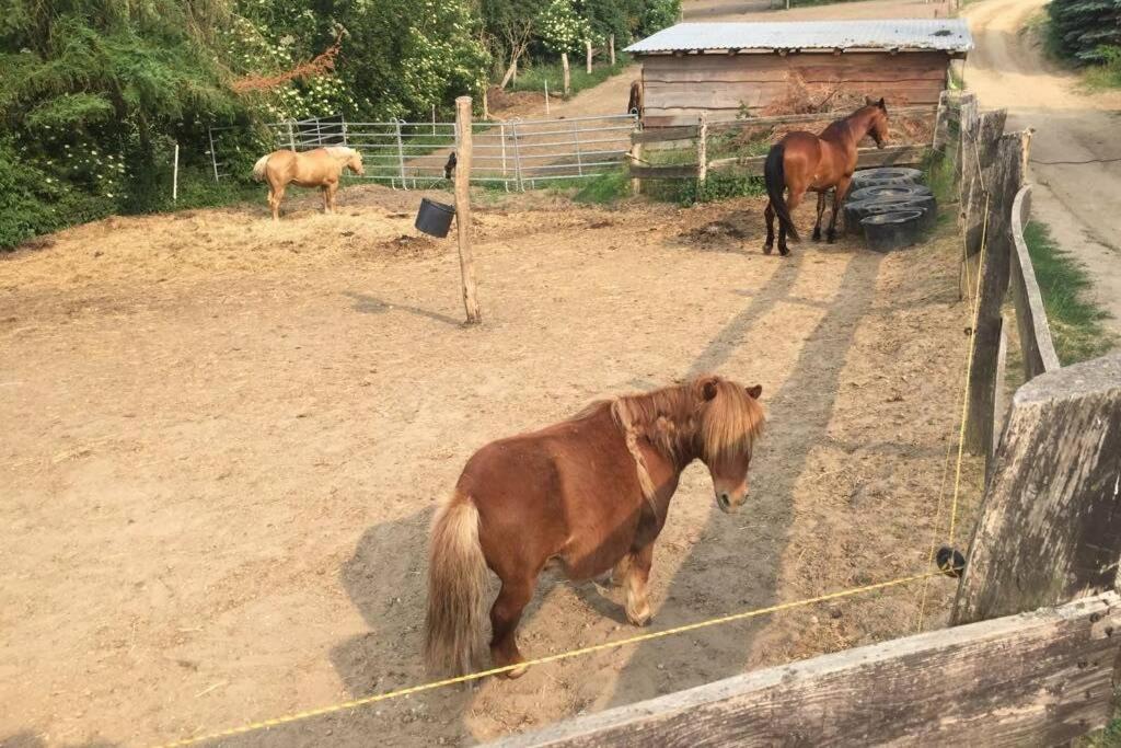 Ferienwohnung In Peetzig Am See Angermunde Bagian luar foto
