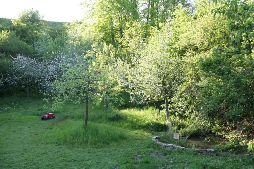 Ferienwohnung In Peetzig Am See Angermunde Bagian luar foto
